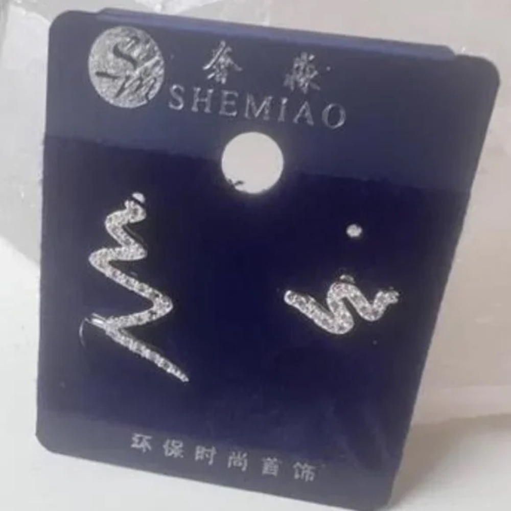 Silver Stud Earrings